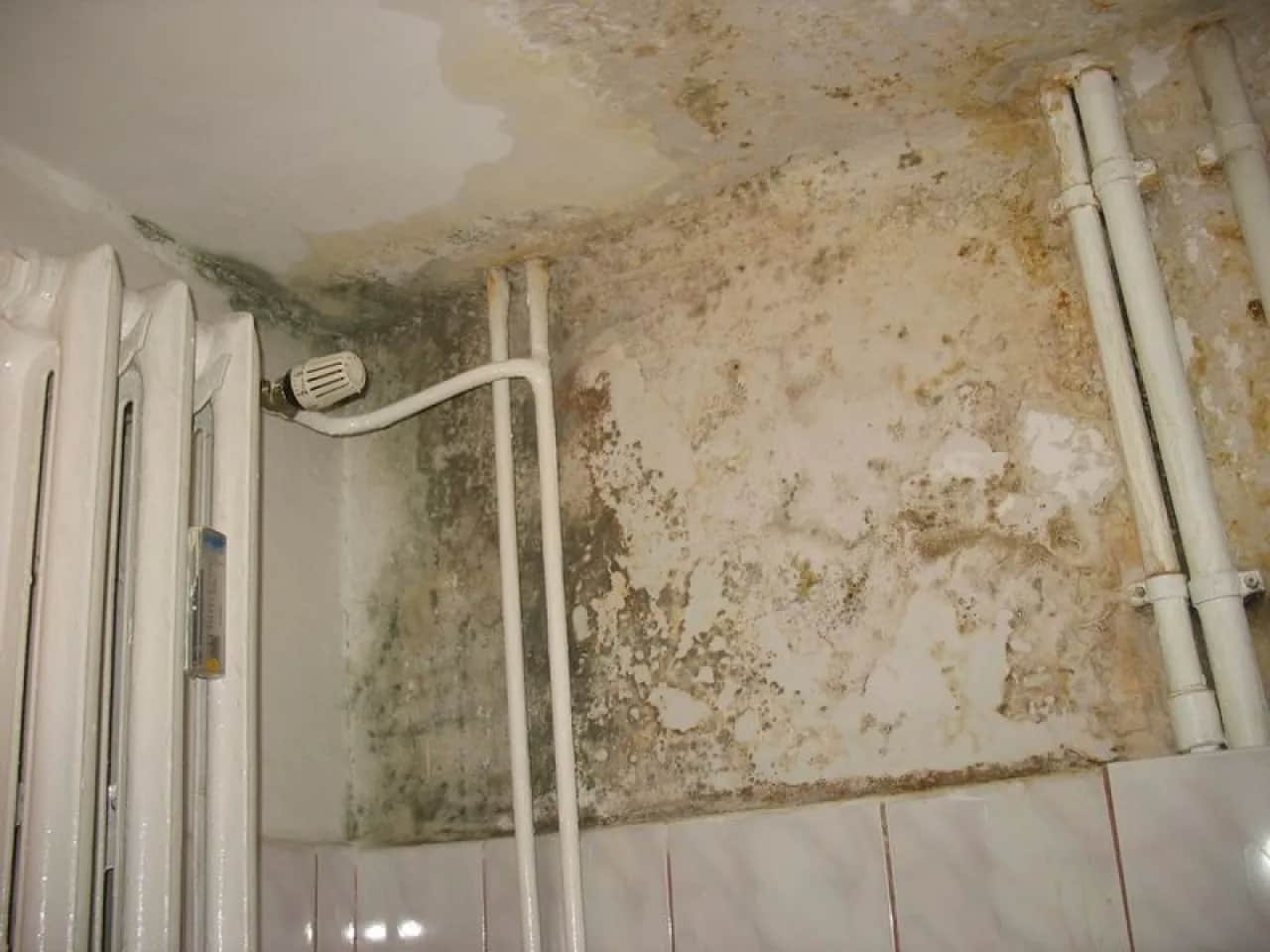 Hydroizolacja łazienki: Co daje "iso" i dlaczego jest kluczowe?